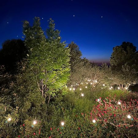 Готель Glamping San Bart Сан-Вінченцо Екстер'єр фото